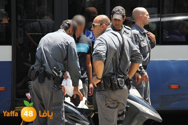 taizer gun 821 (10).JPG